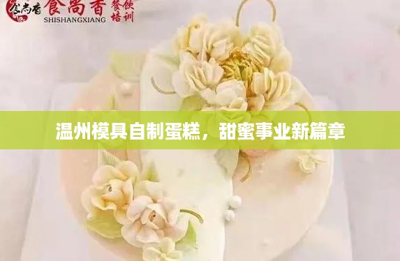 温州模具自制蛋糕，甜蜜事业新篇章