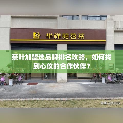 茶叶加盟选品牌排名攻略，如何找到心仪的合作伙伴？