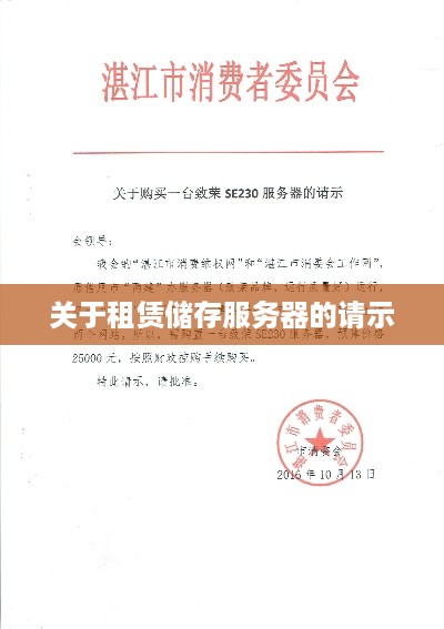关于租赁储存服务器的请示
