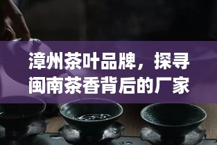 漳州茶叶品牌，探寻闽南茶香背后的厂家故事