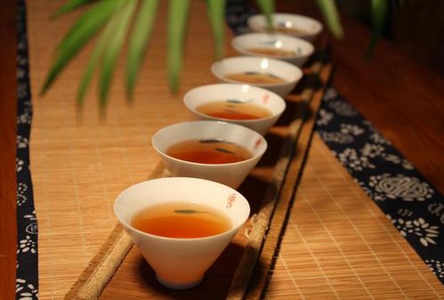 茶叶加盟线上品牌推荐，轻松开店，品味茶香