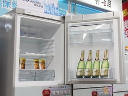 电冰箱品牌策划专业简历