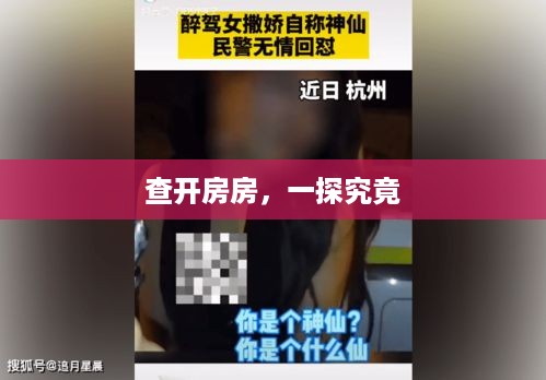 查开房房，一探究竟