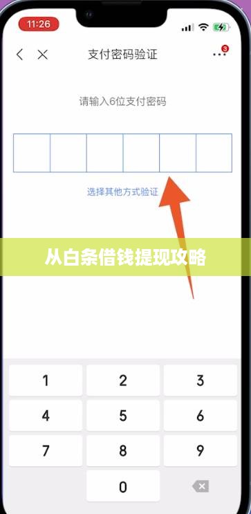 从白条借钱提现攻略