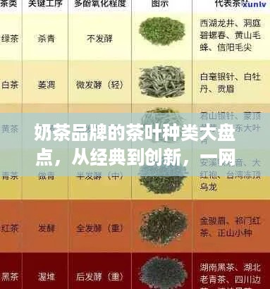奶茶品牌的茶叶种类大盘点，从经典到创新，一网打尽！