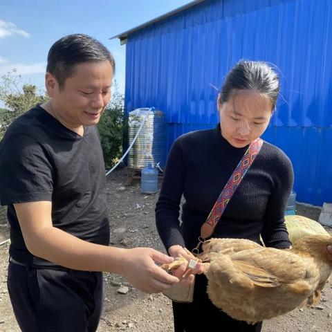 溧阳高级服务器租赁服务，高效、稳定、灵活的IT解决方案