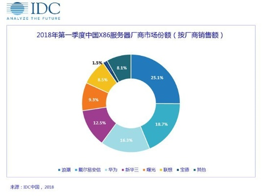 超越服务器领域的领军者—各公司实力对比与案例分析