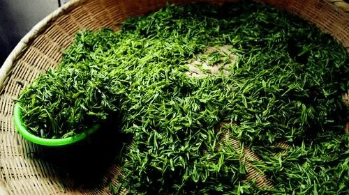 镇江上党镇茶叶品牌，千年古镇的绿色瑰宝