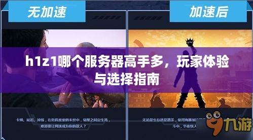 h1z1哪个服务器高手多，玩家体验与选择指南