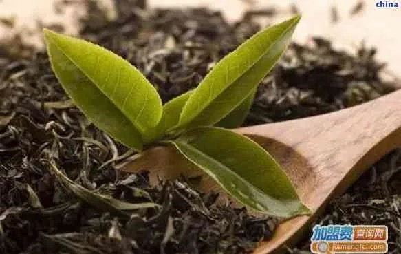 福鼎碧螺春茶叶品牌代理，如何开启你的茶香事业之旅