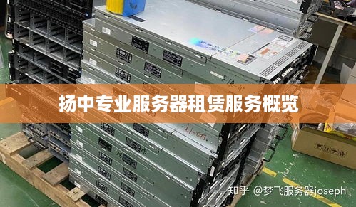 扬中专业服务器租赁服务概览