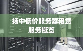 扬中低价服务器租赁服务概览