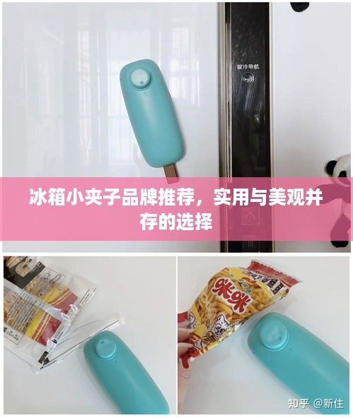 冰箱小夹子品牌推荐，实用与美观并存的选择