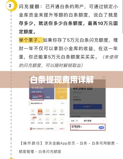 白条提现费用详解