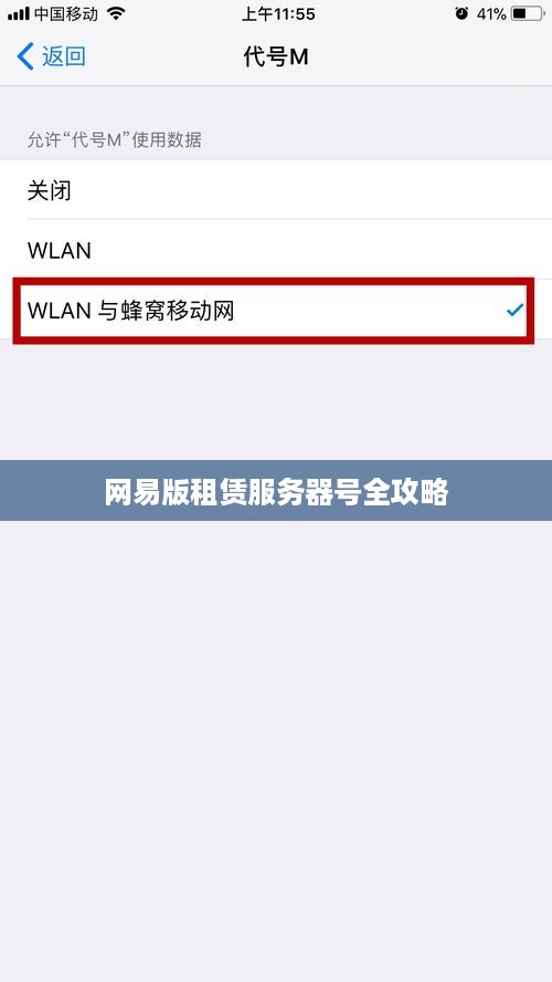 网易版租赁服务器号全攻略