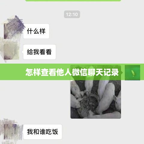 怎样查看他人微信聊天记录