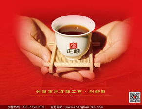 茶叶品质安全品牌化发展之路，从田间到茶杯的蜕变