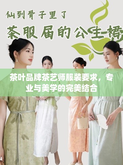 茶叶品牌茶艺师服装要求，专业与美学的完美结合