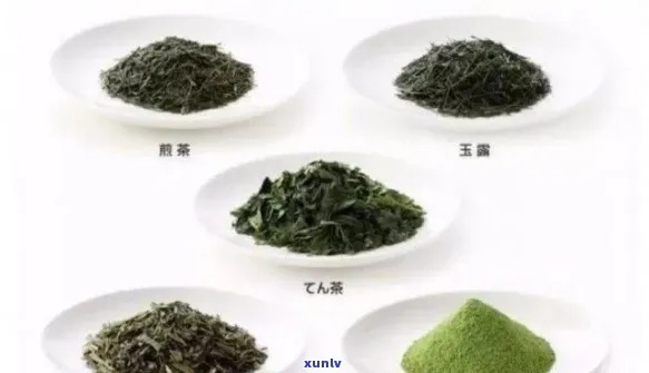 品牌盒装茶叶种类大盘点，从绿茶到红茶，总有一款是你的菜！