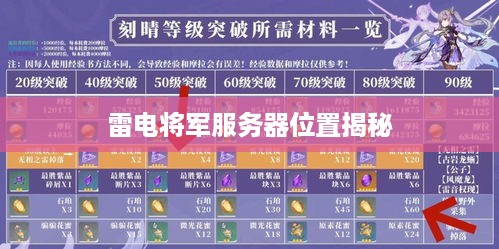 雷电将军服务器位置揭秘