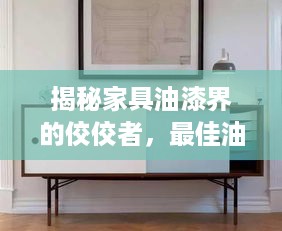 揭秘家具油漆界的佼佼者，最佳油漆品牌盘点