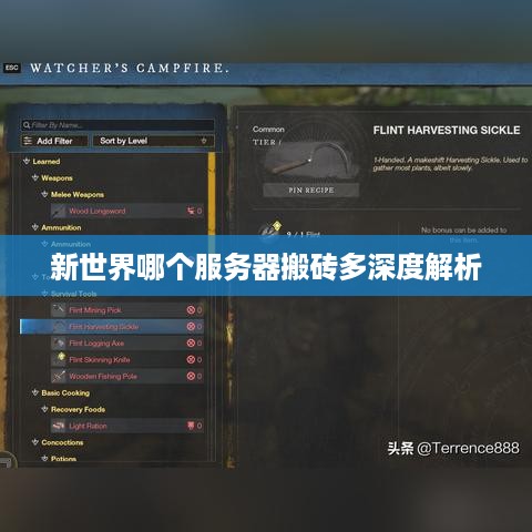 新世界哪个服务器搬砖多深度解析