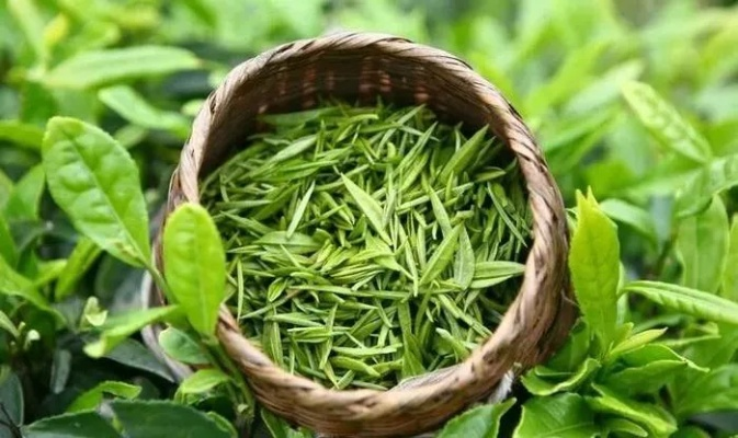 揭秘特级有机茶叶品牌，品味自然之精华