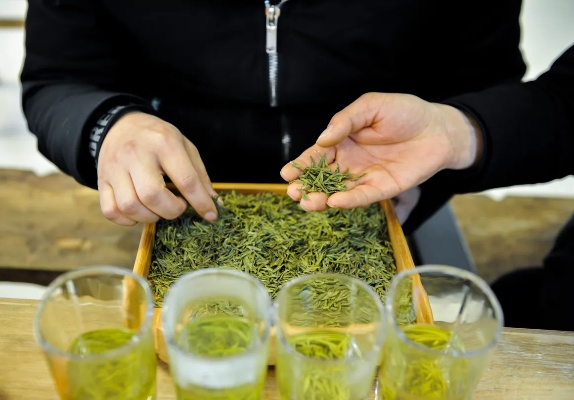 洪雅茶叶，品味千年古韵，尽享茶香四溢