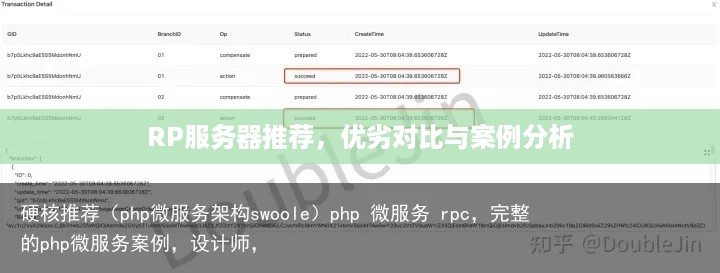 RP服务器推荐，优劣对比与案例分析