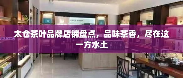 太仓茶叶品牌店铺盘点，品味茶香，尽在这一方水土