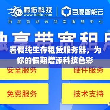暑假纯生存租赁服务器，为你的假期增添科技色彩