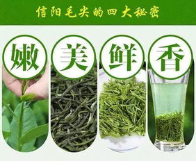 毛尖茶叶品牌大比拼，揭秘哪个品牌最值得信赖！