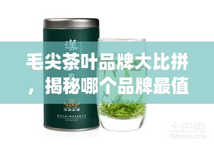 毛尖茶叶品牌大比拼，揭秘哪个品牌最值得信赖！