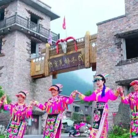 欧盟认证茶叶品牌大盘点，品质与信誉的双重保障