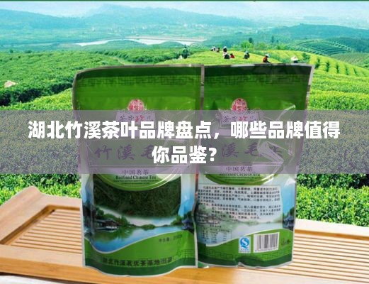 湖北竹溪茶叶品牌盘点，哪些品牌值得你品鉴？