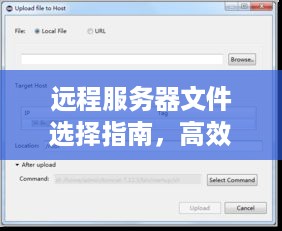 远程服务器文件选择指南，高效选择，轻松上手