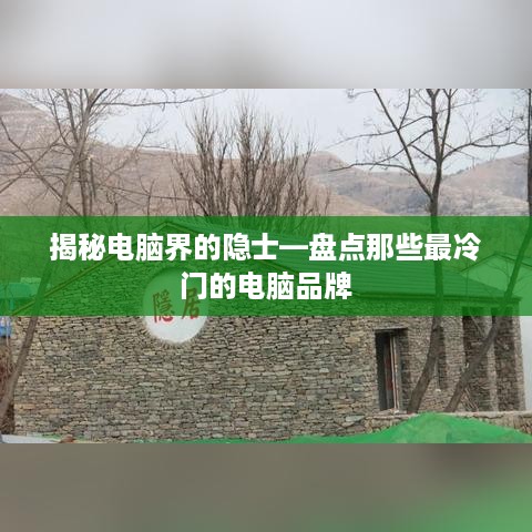 揭秘电脑界的隐士—盘点那些最冷门的电脑品牌