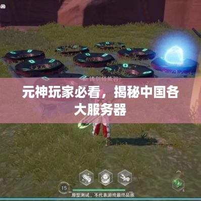元神玩家必看，揭秘中国各大服务器