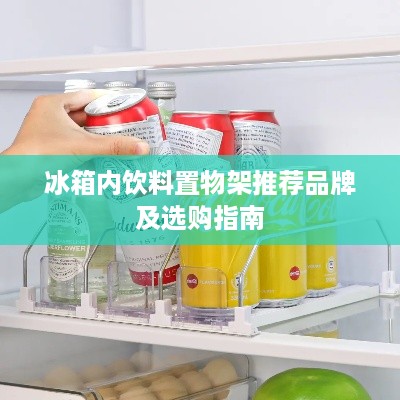 冰箱内饮料置物架推荐品牌及选购指南