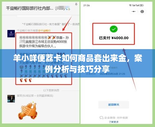 羊小咩便荔卡如何商品套出来金，案例分析与技巧分享