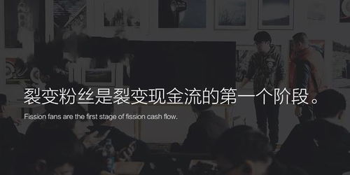 揭秘抖音月付套取之路，小馿抖音月付的秘密宝库