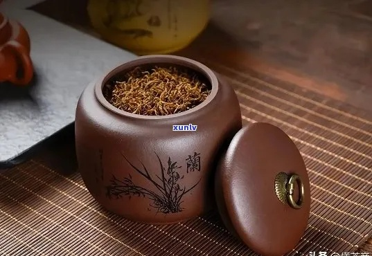 平价罐子茶叶品牌测评大盘点，性价比之选一目了然！