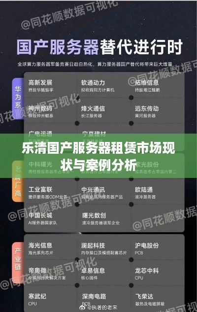 乐清国产服务器租赁市场现状与案例分析