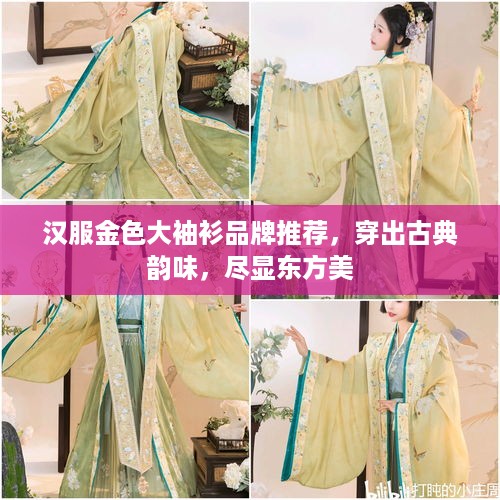 汉服金色大袖衫品牌推荐，穿出古典韵味，尽显东方美