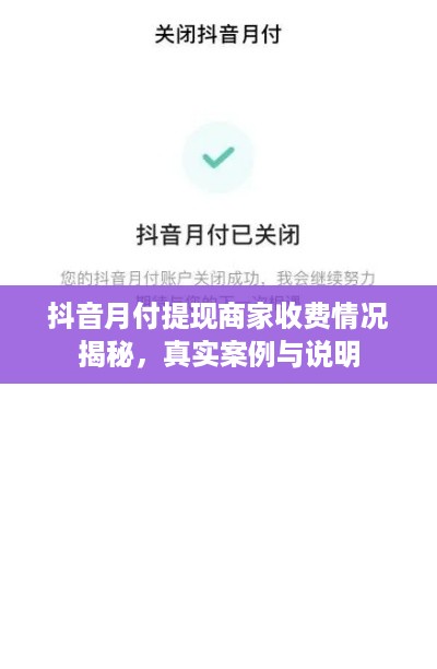 抖音月付提现商家收费情况揭秘，真实案例与说明