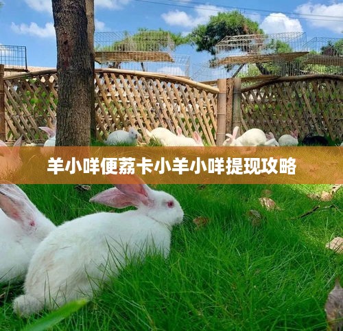 羊小咩便荔卡小羊小咩提现攻略