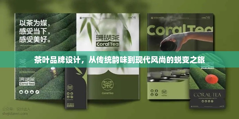 茶叶品牌设计，从传统韵味到现代风尚的蜕变之旅