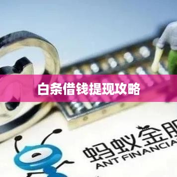 白条借钱提现攻略