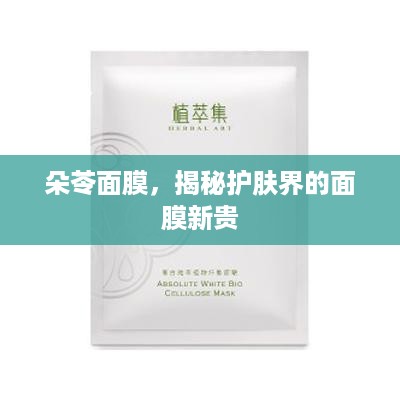 朵苓面膜，揭秘护肤界的面膜新贵