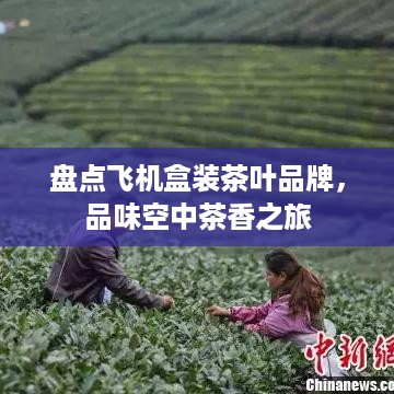 盘点飞机盒装茶叶品牌，品味空中茶香之旅